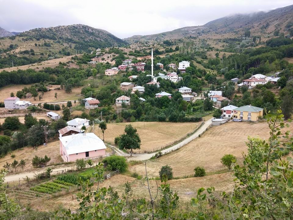 Doğanşar Yavşancık Köyü Resimleri 25