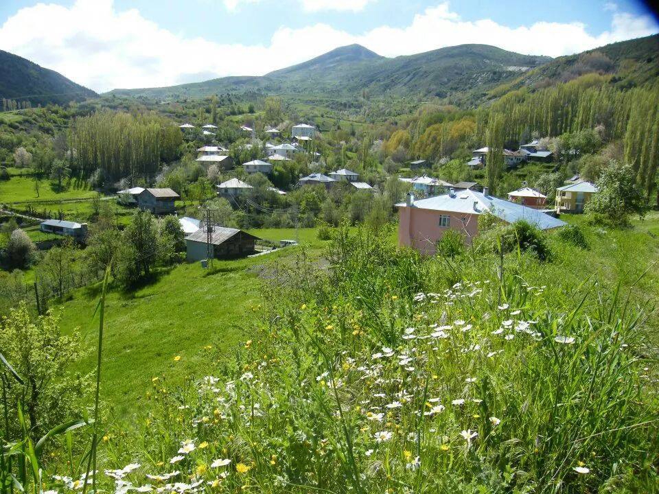 Doğanşar Yavşancık Köyü Resimleri 26