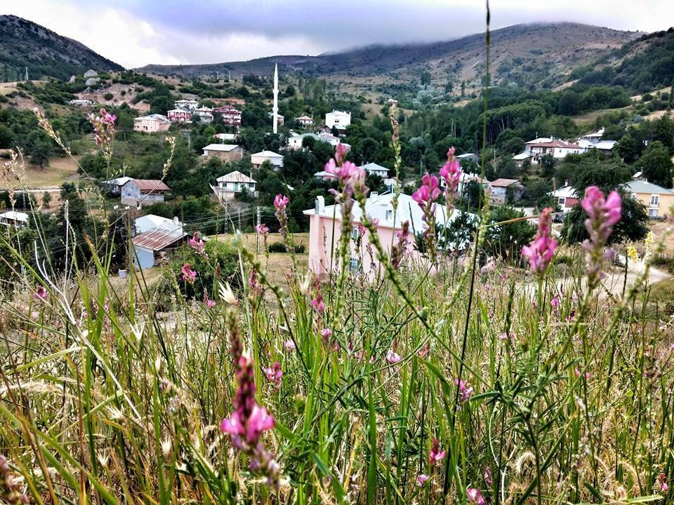 Doğanşar Yavşancık Köyü Resimleri 28