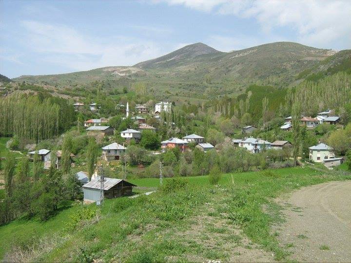 Doğanşar Yavşancık Köyü Resimleri 7