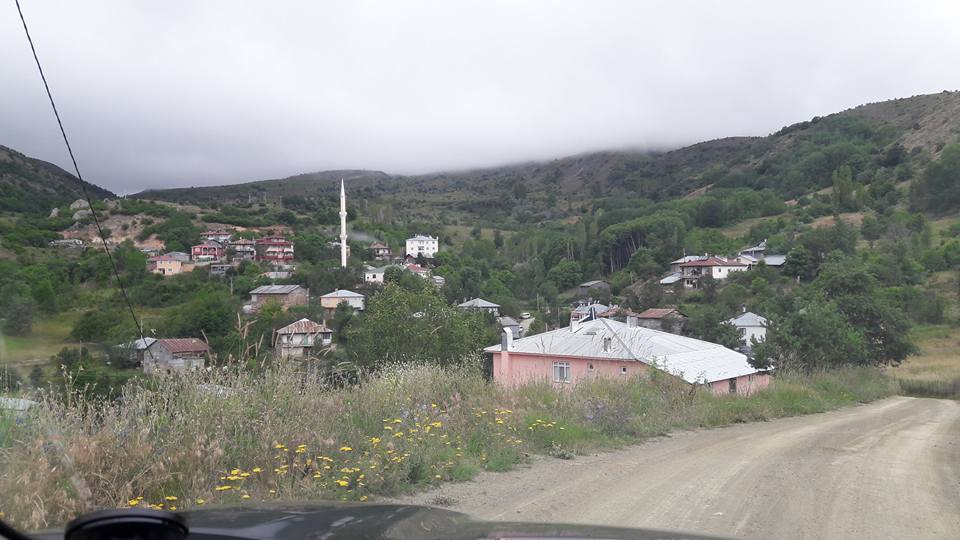 Doğanşar Yavşancık Köyü Resimleri 8