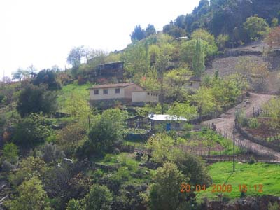 Adana Kozan Velicanlı Köyü Resimleri 1