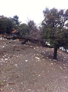 Adana Kozan Velicanlı Köyü Resimleri 12