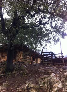 Adana Kozan Velicanlı Köyü Resimleri 13