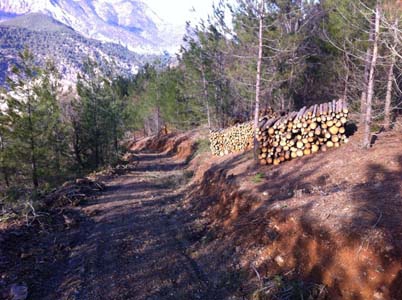 Adana Kozan Velicanlı Köyü Resimleri 15