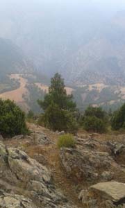 Adana Kozan Velicanlı Köyü Resimleri 30