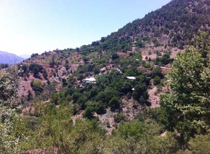 Adana Kozan Velicanlı Köyü Resimleri 31