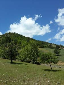 Adana Kozan Velicanlı Köyü Resimleri 33