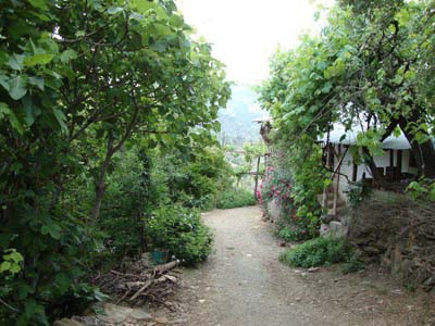 Adana Kozan Velicanlı Köyü Resimleri 34