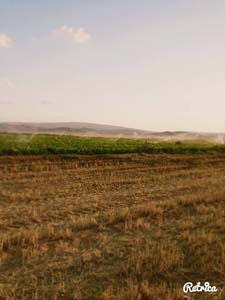 Adana Kozan Velicanlı Köyü Resimleri 4