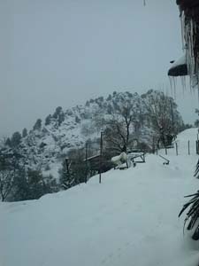 Adana Kozan Velicanlı Köyü Resimleri 5