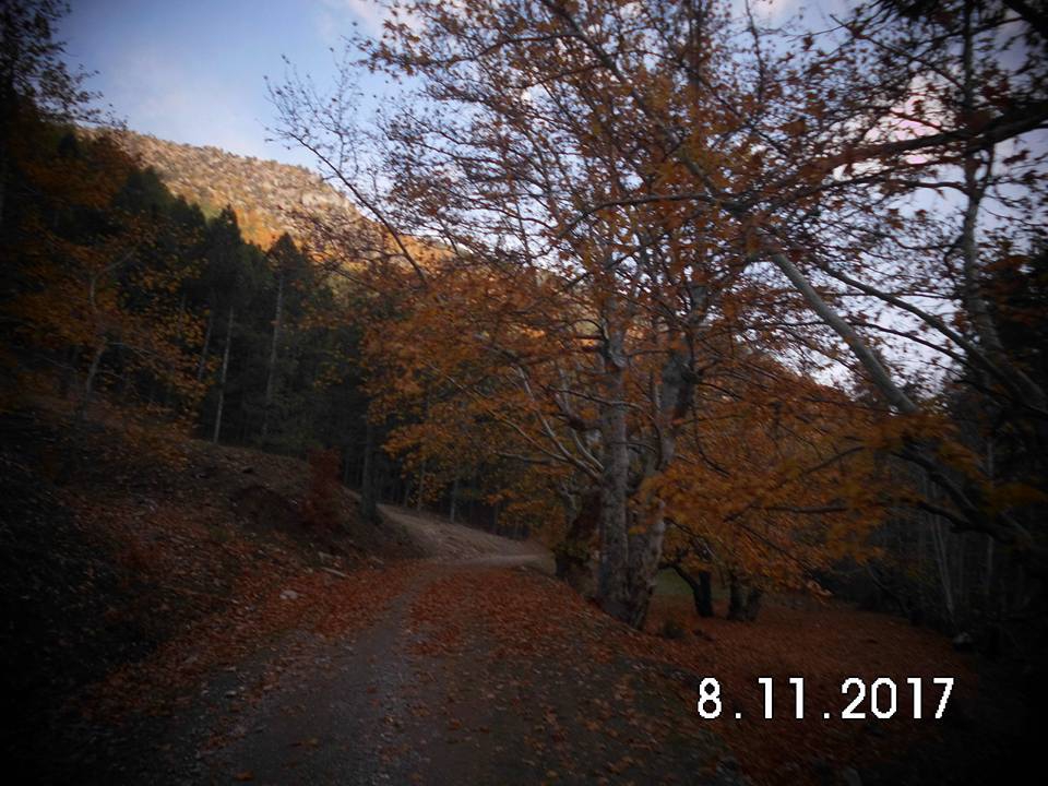 Göksun Payamburnu Köyü Resimleri 10