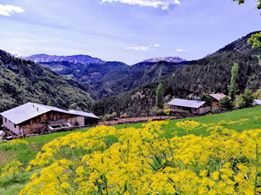 Göksun Payamburnu Köyü Resimleri 2