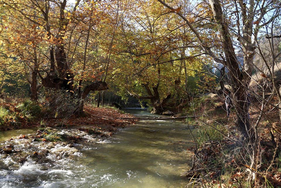 Göksun Payamburnu Köyü Resimleri 5