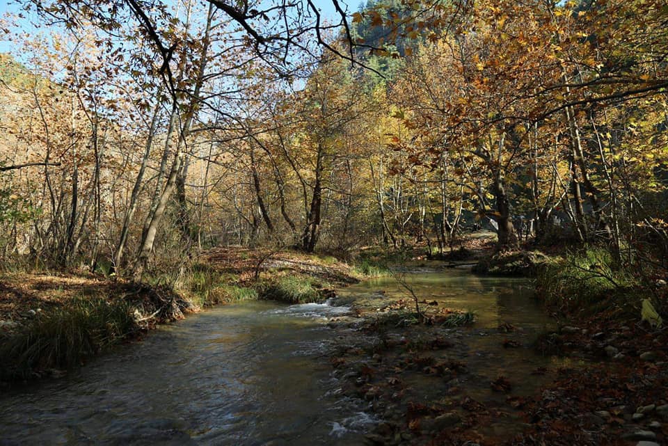Göksun Payamburnu Köyü Resimleri 6