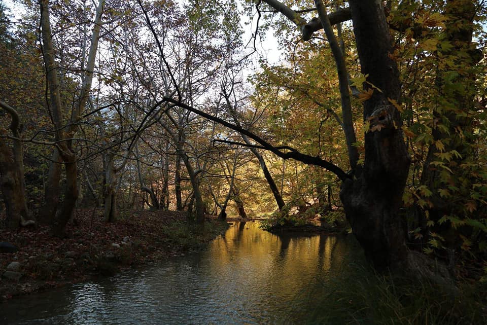 Göksun Payamburnu Köyü Resimleri 7