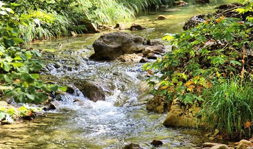Göksun Pınarbaşı Köyü Resimleri 1