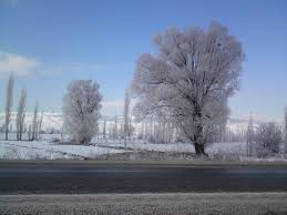Göksun Pınarbaşı Köyü Resimleri 8