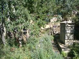 Göksun Saraycık Köyü Resimleri 11