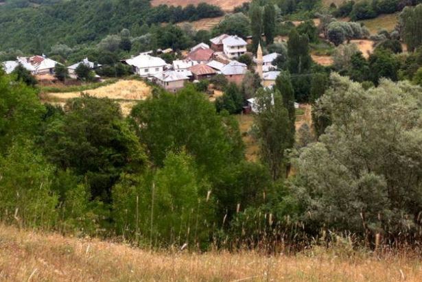 Doğanşar Yeşilçukur Köyü Resimleri 6