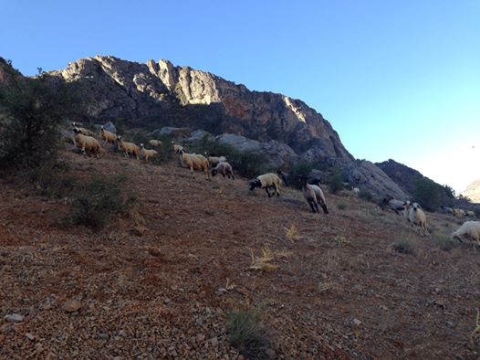 Çüngüş Güneydere Köyü Resimleri 2