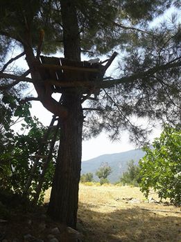 Dalaman Gürleyik Köyü Resimleri 11