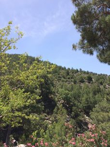 Dalaman Gürleyik Köyü Resimleri 12