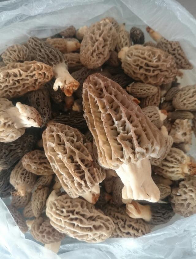 Dalaman Gürleyik Köyü Resimleri 17