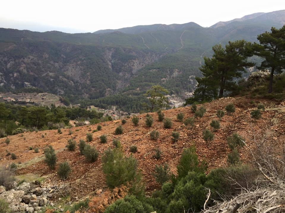 Dalaman Gürleyik Köyü Resimleri 21