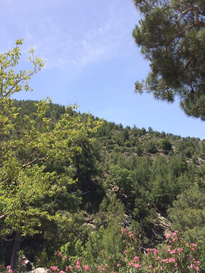 Dalaman Gürleyik Köyü Resimleri 23