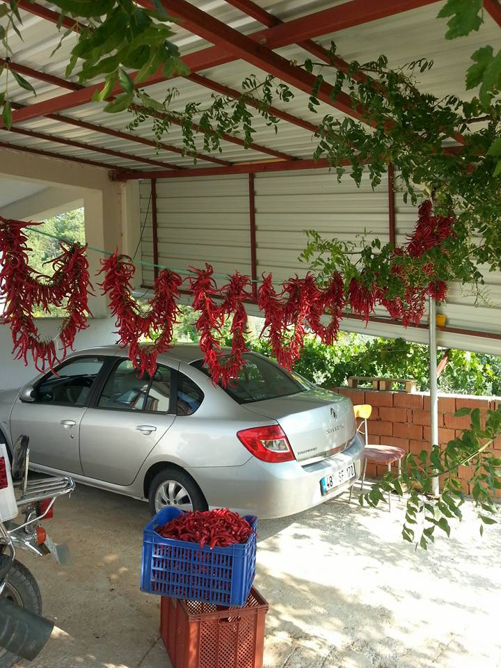 Dalaman Gürleyik Köyü Resimleri 25