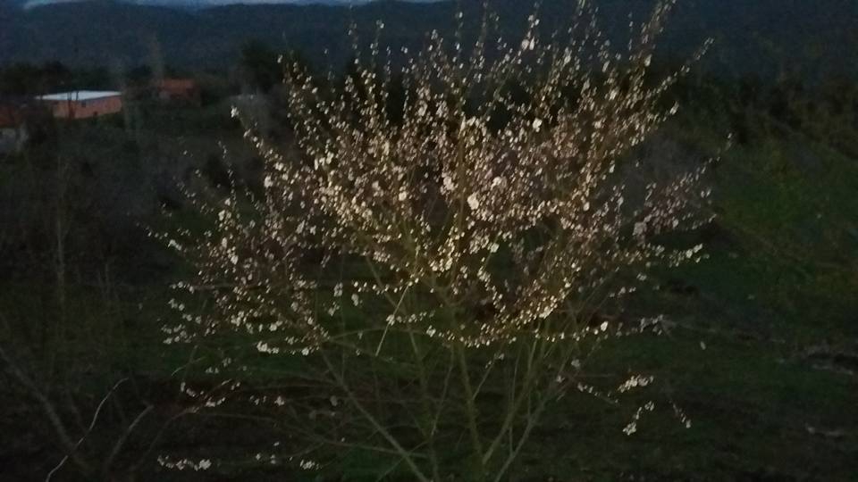 Dalaman Gürleyik Köyü Resimleri 5