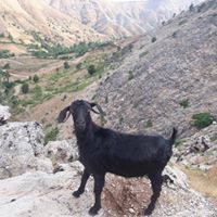 Çüngüş Polatuşağı Köyü Resimleri 13