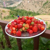 Çüngüş Polatuşağı Köyü Resimleri 14