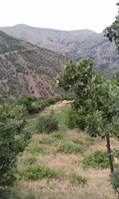 Çüngüş Yenice Köyü Resimleri 2