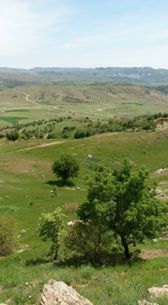 Çüngüş Yukarışeyhler  Köyü Resimleri 2