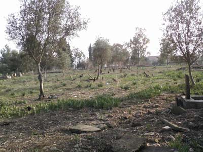 Adan Kozan Tepecikören Köyü Resimleri 15