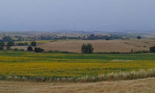 Adan Kozan Tepecikören Köyü Resimleri 19