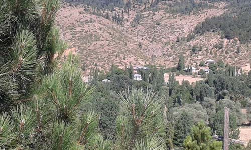 Adan Kozan Tepecikören Köyü Resimleri 7