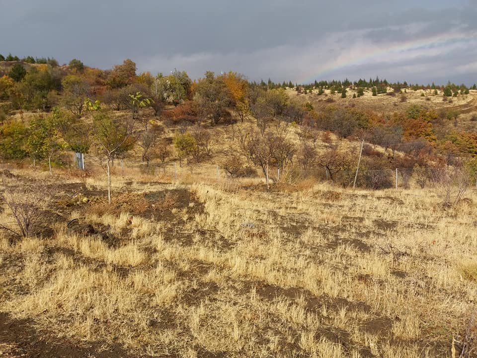 Elazığ Akçakale Köyü Resimleri 2