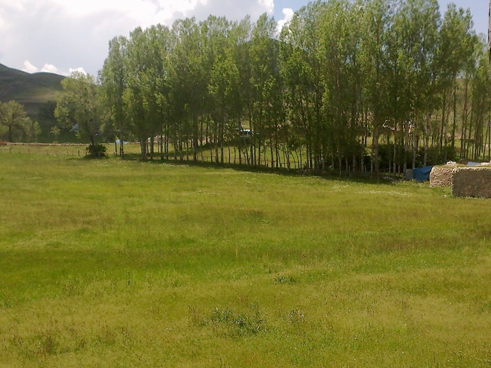 Elazığ Alaca Köyü Resimleri 5