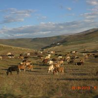 Altınözü Akdan Köyü Resimleri 5