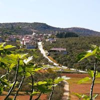 Altınözü Alakent Köyü Resimleri 6