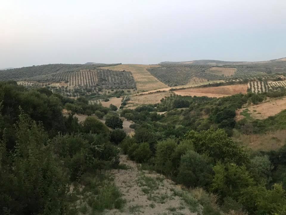 Altınözü Altınkaya Köyü Resimleri 5