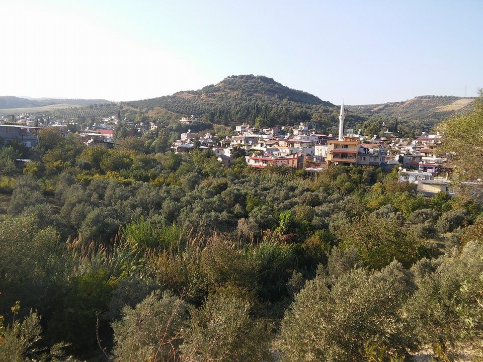 Altınözü Altınkaya Köyü Resimleri 6