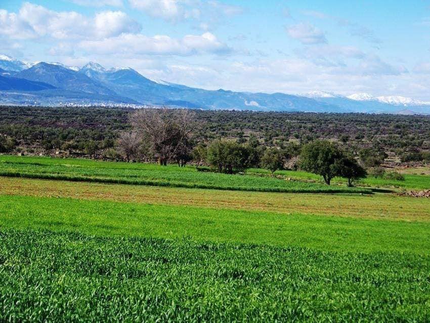 Altınözü Altınkaya Köyü Resimleri 7