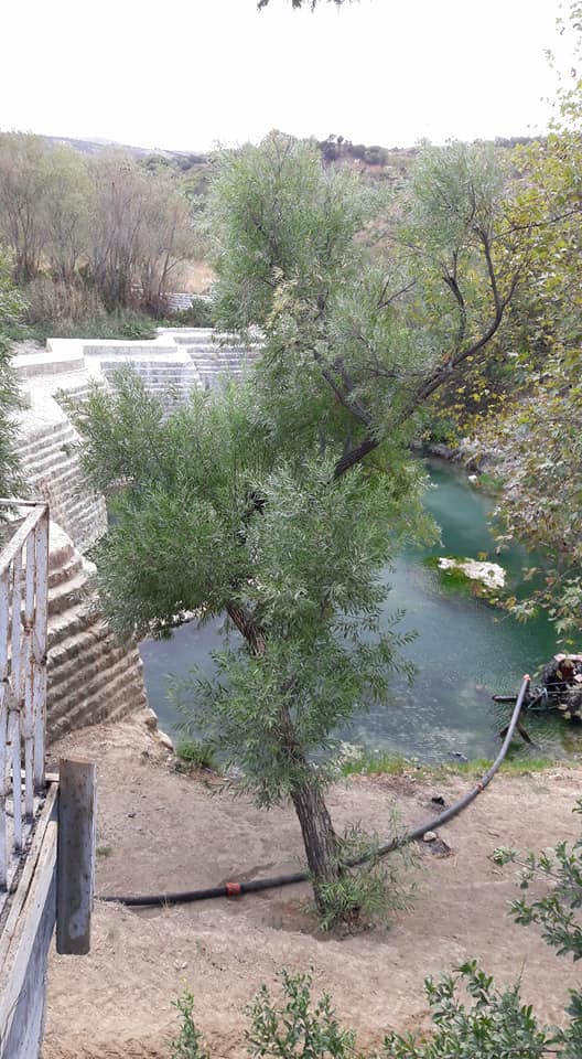 Altınözü Çetenli Köyü Resimleri 1