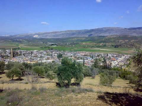 Altınözü Hacıpaşa Köyü Resimleri 10