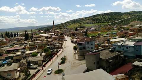 Altınözü Hacıpaşa Köyü Resimleri 3