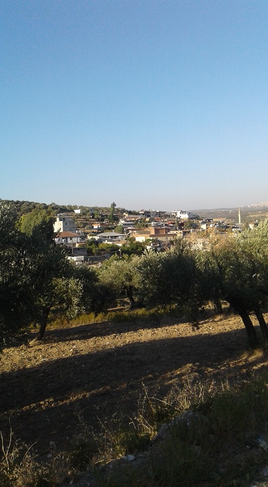 Altınözü Hacıpaşa Köyü Resimleri 7